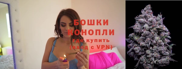 PSILOCYBIN Армянск