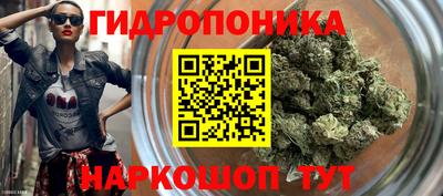 каннабис Кимры