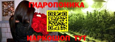 каннабис Кимры