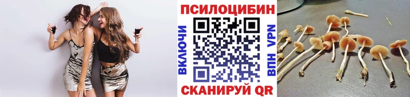 даркнет сайт  Нижнеудинск  KRAKEN ТОР  Галлюциногенные грибы прущие грибы 